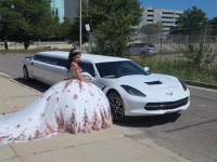A Limo World Serving Tri-County area of Macomb, Oakland, and Wayne, MI.