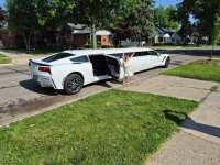 Corvette-c31cee6a-834f-4fee-bc45-40fb2a722996