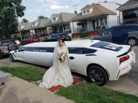 A Limo World Serving Tri-County area of Macomb, Oakland, and Wayne, MI.