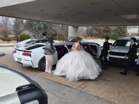 A Limo World Serving Tri-County area of Macomb, Oakland, and Wayne, MI.