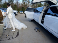 Escalade Limo