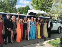 Corvette, Camaro & Escalade Limo
