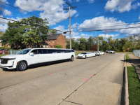 Escalade, Corvette & Camaro Limos