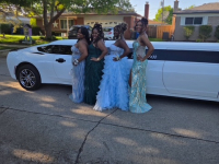 A Limo World