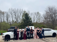 A Limo World