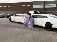 A Limo World