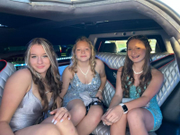 A Limo World