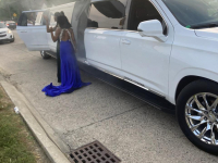 A Limo World
