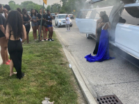 A Limo World