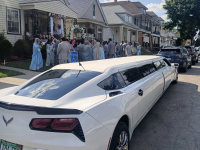 A Limo World