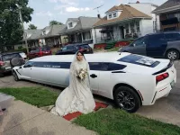 A Limo World