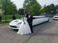A Limo World