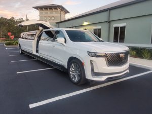 A limousine we use for our limo services in Dearborn, MI